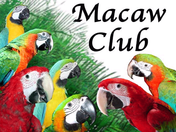 コンゴウ インコ クラブ ホームページ Japan Macaw Club コンゴウインコ クラブ トップ